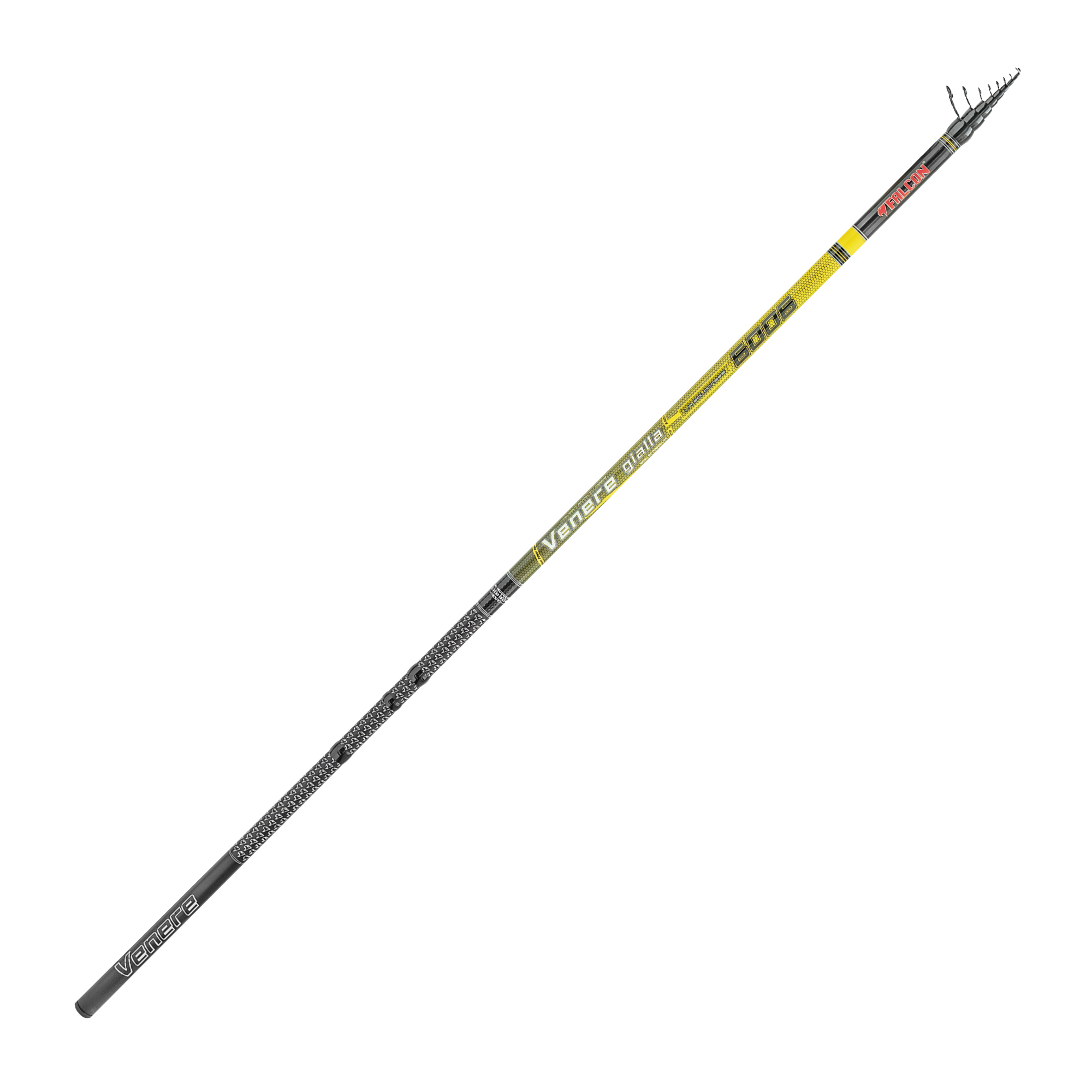 CANNA FALCON VENERE GIALLA